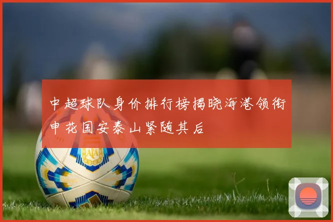 中超球队身价排行榜揭晓海港领衔申花国安泰山紧随其后