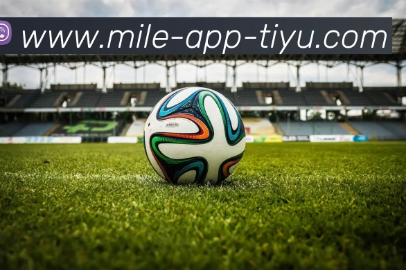 App Interface Preview